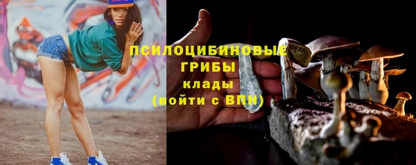 шишки Красноперекопск