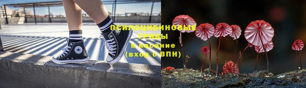 шишки Красноперекопск